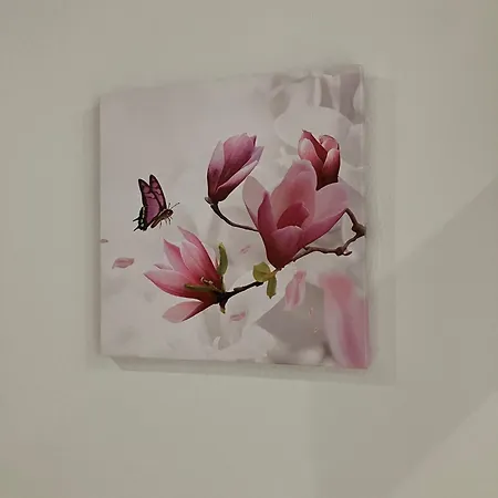 Saini With Air Conditioning Hotel Stresa